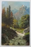 PEISAJ MONTAN , PICTURA REPRODUSA , CROMOLITOGRAFIE , CARTE POSTALA ILUSTRATA , CLASICA , DATATA 1902