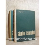 Studiul lemnului - J. Filipovici