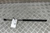 Amortizor capota st&acirc;nga față JAGUAR F-PACE X761 2020 OEM: HK83-16C826-AA 24586086