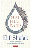 Roman Elif Shafak Sunt Fluvii in Cer Paperback brosat Carti Beletristica Polirom