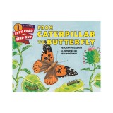 From Caterpillar to Butterfly