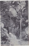 CP SIBIU Hermannstadt Carpatii Transilvaniei cascada Bucegi ND(1917), Circulata, Fotografie, Brasov