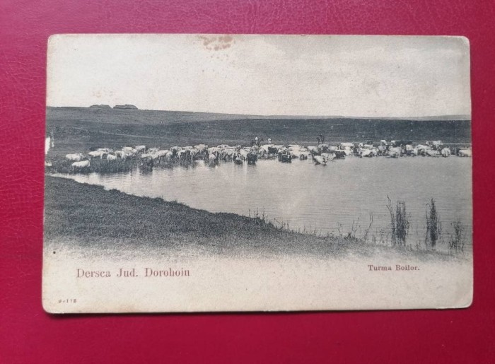Dorohoi Dersca Turma Boilor