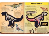 Cumpara ieftin Inside out, T-rex 3D, Kreativ
