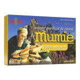 Damar Extract Rasina Mumie Purificat 60 Tablete Supliment Imunitate Sanatate