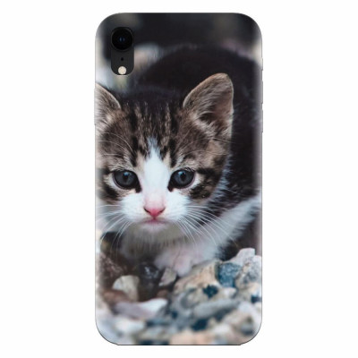 Husa silicon pentru Apple Iphone XR, Animal Cat foto