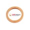 Saiba DIN7603 A24x29x2 intinzator lant distributie KTM