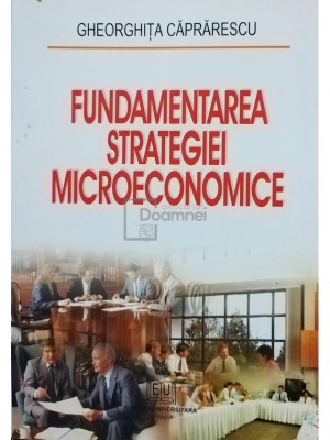 Gheorghita Caprarescu - Fundamentarea strategiei microeconomice foto