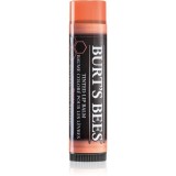 Burt&rsquo;s Bees Tinted Lip Balm balsam de buze culoare Zinnia 4.25 g