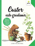 Castor este grădinar. CASTOR - Paperback brosat - Lars Klinting - Gama