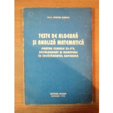 TESTE DE ALGEBRA SI ANALIZA MATEMATICA de MIRCEA GANGA , 1993