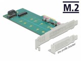 PCI Express cu 1 x M.2 Key B + 1 x NVMe M.2 Key M LPFF, Delock 89047