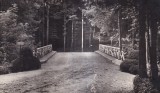 Pitesti. Parcul Trivale Podul (necirculata)