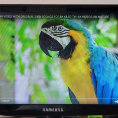 MONITOR Samsung 18.5" SyncMaster SA100 LED . FUNCTIONEAZA .