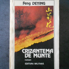FENG DEYING - CRIZANTEMA DE MUNTE