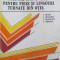 MASELOTE PENTRU PIESE SI LINGOURI TURNATE DIN OTEL-C. BRATU, I. BUTNARIU, V. MUNTEANU, L. SOFRONI-247047