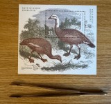 Rate si gaste salbatice, colita dantelata 2022 LP 2378a