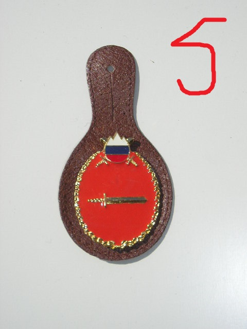 QW8 5 - Insigna - tematica militara - sabie - armata din Slovacia - suport piele