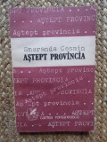 Aștept provincia - Smaranda Cosmin