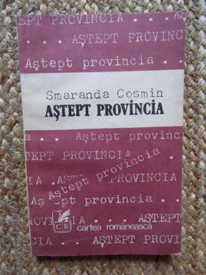 Aștept provincia - Smaranda Cosmin foto