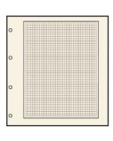 10 foi de carton bej, chenar si hasurat, Compact A4, 250g - 4 perforatii