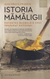 Alex Drace-Francis - Istoria mamaligii. Povestea globala a unui preparat