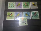 TIMBRE POLONIA PASARI