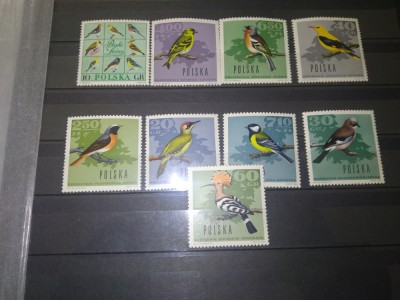 TIMBRE POLONIA PASARI foto