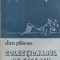 Dan Plaesu - Colectionarul de exceptii