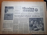 Scanteia tineretului 23 octombrie 1964-orasul craiova,resita,jocurile olimpice