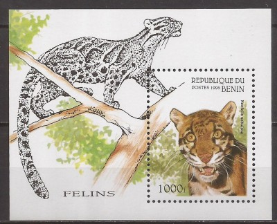 BENIN 1995 FAUNA FELINE ( colita dantelata ) MNH foto