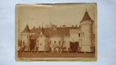 Instiintare de primire Carei castelul foto