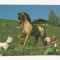 TD2 -Carte Postala- GERMANIA - Kathe Kruse Puppe, necirculata
