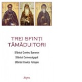 Trei sfinti tamaduitori. Sfantul Samson, Sfantul Agapit, Sfantul Patapie - Adrian Tanasescu-Vlas, Eugen Diaconu