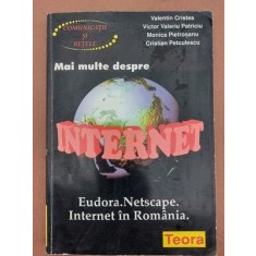 Mai multe despre Internet- Valentin Cristea, Victor Valeriu Patriciu