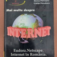 Mai multe despre Internet- Valentin Cristea, Victor Valeriu Patriciu