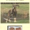 Ciprul Grec 1998 - Capra de munte cipriotă