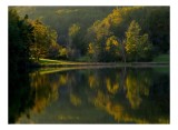 Tablou Canvas, "Oglindirea luminii pe lacul liniștit", Flori, Frunze, Reflecții, Apă, Lumină, Umbre, Pădure, Natură, Răsărit, Culori, 39 x 26 cm, CMCL
