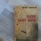 Rabbi Haies Reful.Fresca de Petru Manoliu