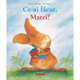 Ce ai făcut Matei? - Brigitte Weninger Eve Tharlet