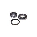 Set rulment roata MERCEDES-BENZ G-CLASS W461 FAG 713 6673 90