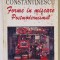 FORME IN MISCARE . POSTMODERNISMUL de MIHAELA CONSTANTINESCU , 1999