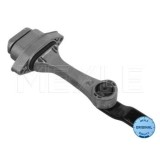 Suport motor Meyle 1001990045, parte montare : Spate