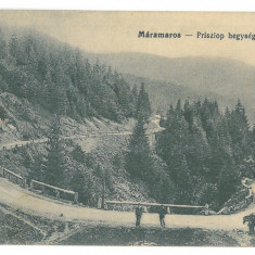 5132 - Prislop Pass, Maramures, Romania - old postcard - unused