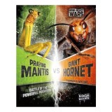Praying Mantis Vs Giant Hornet