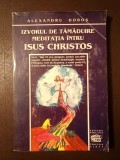 Alexandru Doboș (dedicație) - Izvorul de tămăduire: meditația &icirc;ntru Isus Christos