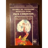 Alexandru Doboș (dedicație) - Izvorul de tămăduire: meditația &icirc;ntru Isus Christos