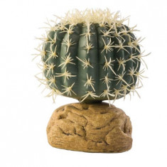 Exo Terra Planta Barrel Cactus Small PT2980 foto