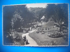 HOPCT 341 B GOVORA -VEDERE DIN PARC-1939 -JUD VALCEA-CIRCULATA foto