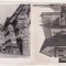 bnk cp Europa - lot 30 cp circulate/necirculate/uzate